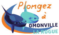Plongez Omonville-la-Rogue